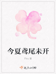 今夏鸢尾未开