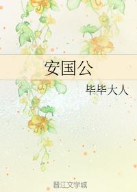 安国公