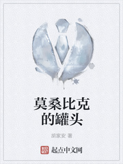 莫桑比克的罐头