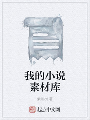 我的小说素材库