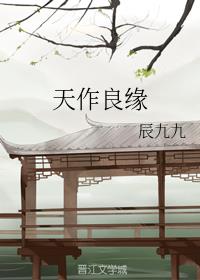 天作良缘