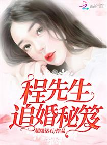 程先生追婚秘笈