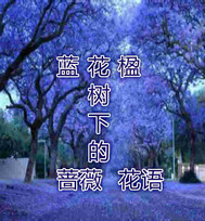 自律的我简直无敌了